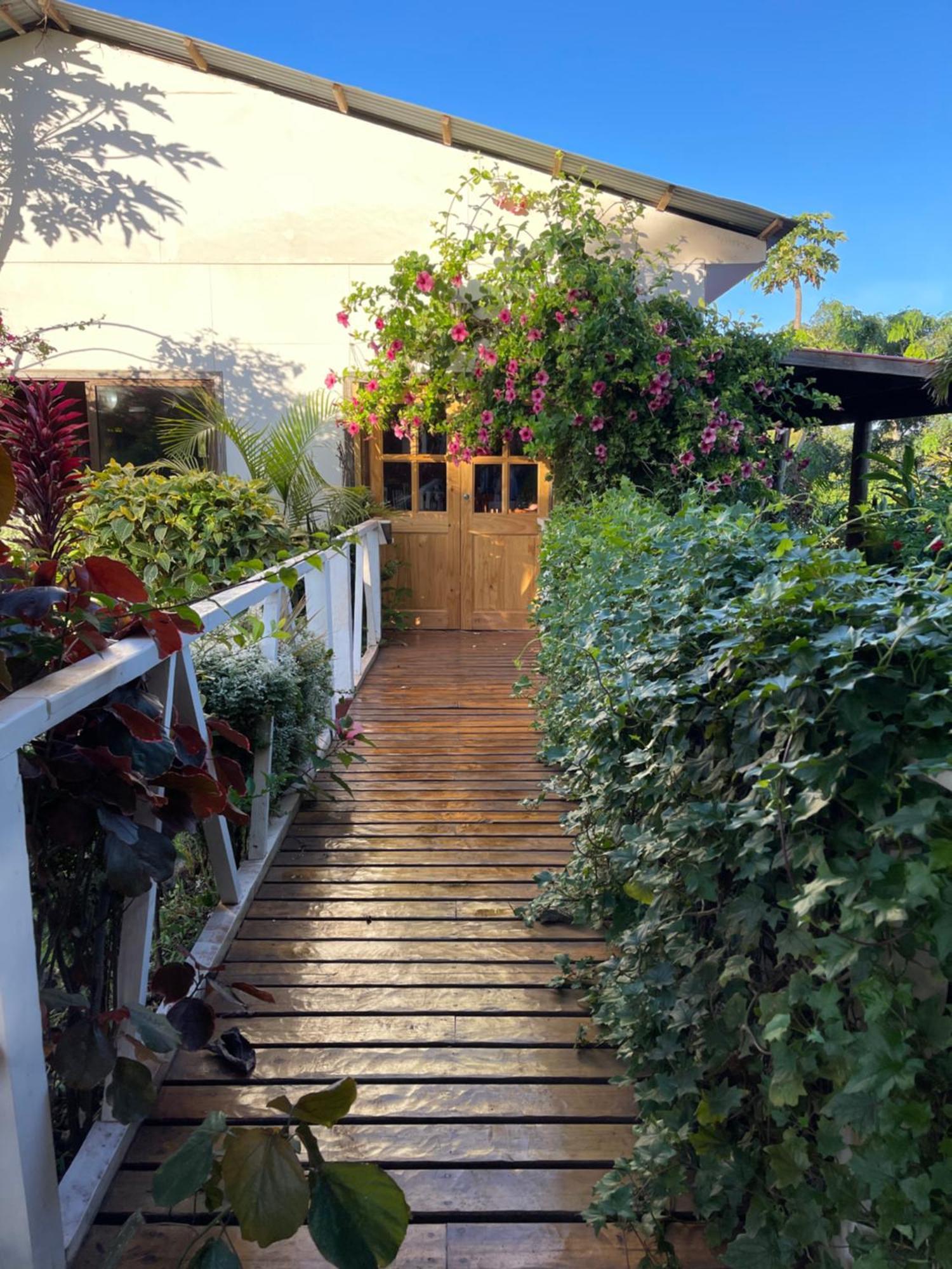 Teanehi Bed & Breakfast Hanga Roa Zewnętrze zdjęcie